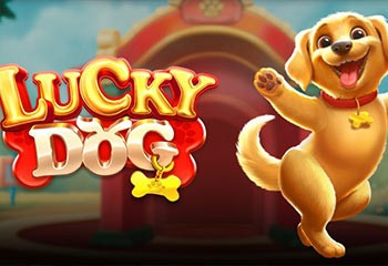 Lucky Dog
